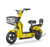 Sepeda Listrik Baterai Asam Timbal 500W 45kmph Harga Pabrik Murah, Jarak Jauh, Cocok untuk Komuter Kota