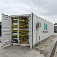 Système de culture hydroponique vertical Starfarm, culture hydroponique en conteneur NFT, micro-légumes pour la laitue et les légumes à feuilles vertes