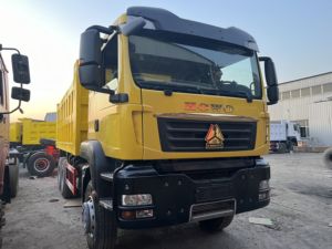 Camión Volquete Minero Nuevo Howo 8x4 Euro 2 Diésel, 10 Ruedas, 11-20T de Carga, Volante a la Izquierda, Cámara Trasera, 251-350HP, 6-8L - Product Image 2