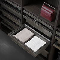 Range-chaussures coulissant en aluminium Galaxy à fermeture douce, boîte de rangement pour armoire avec tiroir organisateur à fermeture amortie pour armoire