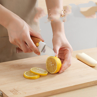 Multifunctionele Dunschiller & Mes-Roestvrij Staal Peeling Tool Met Veilig Beschermhoes Voor Fruit Draagbare En Veilig Voor Outdoor
