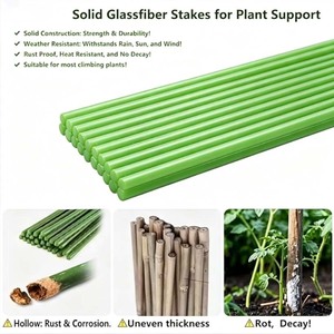 Jonc en <span class=keywords><strong>fibre</strong></span> de verre pleine sur mesure, barre ronde solide en GFRP isolante pour support de plantes - Product Image 3