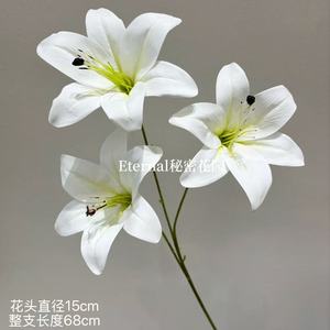 Giardino <span class=keywords><strong>Segreto</strong></span>: Giglio Artificiale 3D a Stelo Singolo in Plastica per Decorazioni Nuziali - Marrone, Viola, Rosa, Bianco - Composizione da Terra - Product Image 3