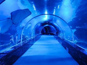 Aquarium marin récif réservoir corail aquarium lumières récif aquarium - Product Image 5