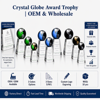 Trophée globe terrestre en cristal K9 personnalisé, base facettée personnalisée, cadeau de reconnaissance d'entreprise en gros