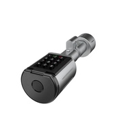 Serrure à cylindre étanche IP66 suisse suisse TTLock Tuya Alexa google Home mot de passe Code empreinte digitale serrure à cylindre électronique