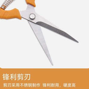 Tijeras de podar de punta recta de 6.5 pulgadas con hoja de acero inoxidable para árboles frutales y jardinería de bonsáis - Product Image 4
