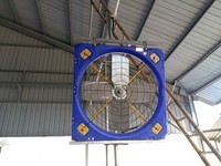 Moteur PMSM Haute Qualité Bovins Vache Cheval 38 ''1m Ranch Ventilateur Panneau Ventilateur