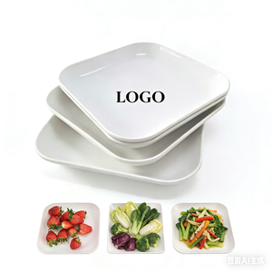 Assiettes carrées classiques en <span class=keywords><strong>plastique</strong></span> durable Gaixie pour les fêtes, les desserts, les salades, les collations et les apéritifs - Product Image 1