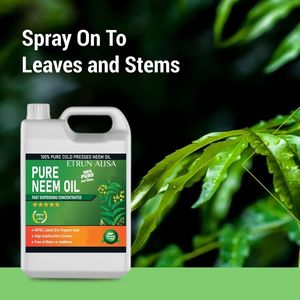 زيت النيم المركز المعصور على البارد من إيترون أليسا، علامة تجارية خاصة، درجة ممتازة، رذاذ للنباتات الداخلية والخارجية بمكونات طبيعية - Product Image 4