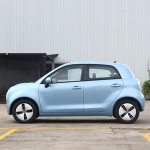 EVカーORAブラックキャット301km 350km 405km高速新エネルギー車中古ミニ電気自動車大人用 - Product Image 4