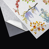 Autocollant en papier japonais auto-adhésif pour le masquage Washi, matériel de compte à la main A4, avec support transparent pour imprimante à jet d'encre