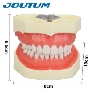 28 pezzi di denti rimovibili modello manuale di alimentazione dentale Typodont strumento per l'insegnamento del dentista forniture di laboratorio - Product Image 5