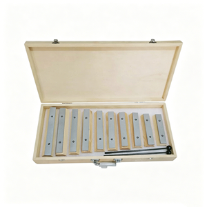 Glockenspiel en métal à 10 tons, Xylophone en forme de brique avec boîte, Instrument de percussion Orff pour enfants, jouet musical éducatif précoce pour enfants - Product Image 2