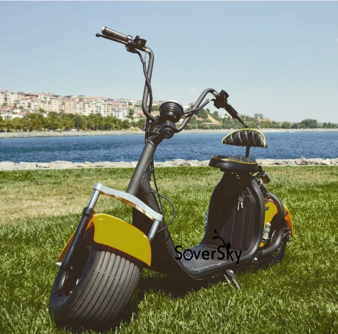 Гольф скутер электрический скутер с быстрым байком Гольф Стиль citycoco Гольф-мобиль электрический скутер быстро шин 12 дюймов DOT сертификат