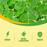 Thé pour le ventre plat aux feuilles de Moringa naturelles de marque privée Jiaoming pour nettoyer les intestins, thé en feuilles détachées pour maigrir et perdre du poids