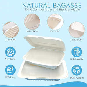 Bagazo <span class=keywords><strong>6</strong></span> pulgadas Concha biodegradable embalaje de alimentos hamburguesa desechable bagazo caja Concha bagazo contenedor de alimentos - Product Image 4