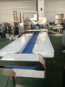 Máquina de Envasado al Vacío Horizontal de Grado Alimenticio para Zonas Sanitarias de Fábricas de Lácteos - Product Image 5