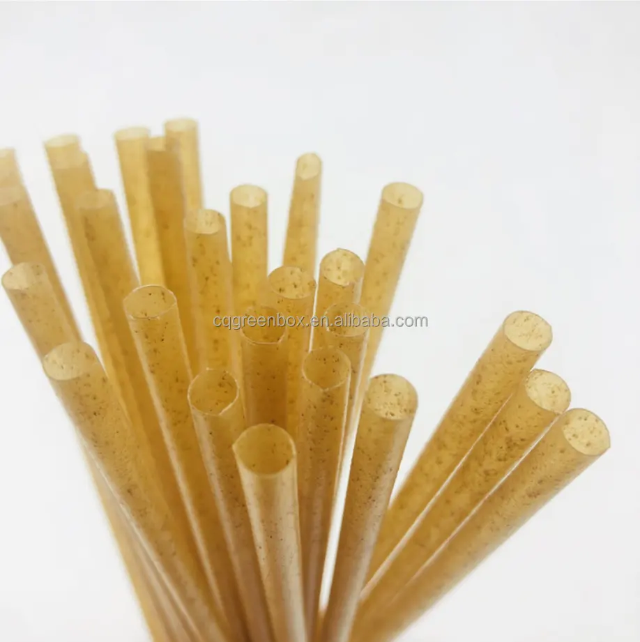 2021 New Product Eco-Friendly 100% Natural Disposable Drinking Straws Sugarcane Straws For Drinking
