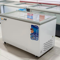 Vitrine de présentation de produits congelés à deux portes, à refroidissement direct, en verre plat de qualité commerciale, pour fruits de mer et poissons