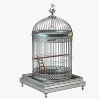 Décoration de cage à oiseaux vintage en fil de fer pour événements, présentoir floral, décoration élégante pour perroquets et canaris, fournitures de décoration de mariage