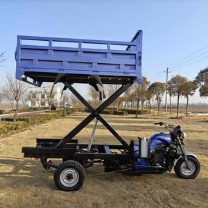 Nouveau style tricycle motorisé de transport de marchandises 250cc 350cc, tricycle à essence et électrique à 3/5/9 roues à vendre - Product Image 2