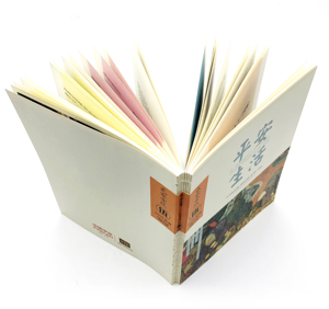 Stampa di riviste artistiche all'avanguardia con spina libera e bordi grezzi, copertina morbida personalizzata e <span class=keywords><strong>rilegatura</strong></span> cucita <span class=keywords><strong>a</strong></span> mano - Product Image 2