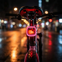 Luce Posteriore per Bicicletta Personalizzabile, Ricaricabile USB, Intelligente con Sensore di Frenata, Impermeabile IP66 per Guida Notturna, OEM