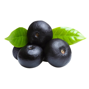 Fabricante de suministro <span class=keywords><strong>al</strong></span> <span class=keywords><strong>por</strong></span> <span class=keywords><strong>mayor</strong></span> de polvo natural de bayas <span class=keywords><strong>Maqui</strong></span> - Product Image 3