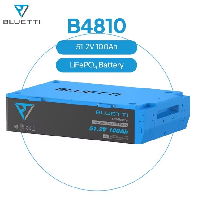 For 51.2V 100Ah LiFePO4 Battery IP65 Protection 6000 Cycles Intelligent Cold Weather Heating Fast Charging Long Life AC