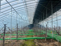 Fabrikant levert Orchard anti-vries vorstventilator landbouwmachines vorstbeschermingsapparatuur