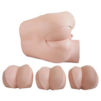 Équipement d'enseignement Modèles de sciences médicales Simulateur d'examen tactile rectal avancé Modèles de formation à l'examen tactile rectal