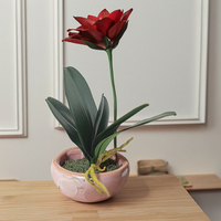 Rangkaian Bunga Phalaenopsis Buatan Lima Tangkai dengan Daun Real Touch untuk Dekorasi Pernikahan, Paskah, dan Hiasan Meja Rumah