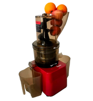 Hoge Opbrengst Commerciële Elektrische Calamansi Slow Juicer Machine Fabriek Outlet Sinaasappelsap Extractor