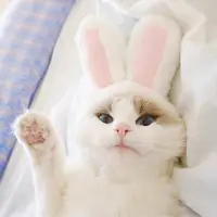 かわいい猫バニー耳ヘッドバンドペットイースターコスチューム猫小型犬のための白とピンクのウサギの帽子の装飾
