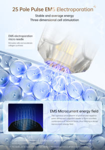 <span class=keywords><strong>Dermapen</strong></span> ปากกา microneedling แบบ<span class=keywords><strong>3</strong></span>-in-1พร้อมการรักษาด้วยแสงสีแดง Q2ปากกาเข็มขนาดเล็กสำหรับร่างกายและหัวปลั๊กของเราใหม่ล่าสุด - Product Image 2