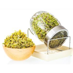 Le kit <span class=keywords><strong>de</strong></span> pot <span class=keywords><strong>de</strong></span> germination en verre biologique sans BPA comprend un support <span class=keywords><strong>de</strong></span> plateau en céramique pour une culture facile des graines <span class=keywords><strong>de</strong></span> salade <span class=keywords><strong>de</strong></span> <span class=keywords><strong>lentilles</strong></span> <span class=keywords><strong>de</strong></span> haricots - Product Image 1