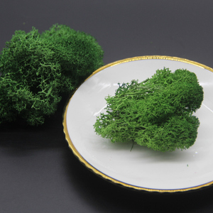 <span class=keywords><strong>Verde</strong></span> scuro stabilizzato conserve di moss per società di progettazione di decorazione della parete - Product Image 1
