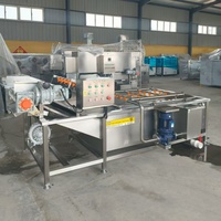 Automatische continue fruit- en bladgroente-wasmachine met luchtbellen, hogedruksproeier voor vis en zeevruchten