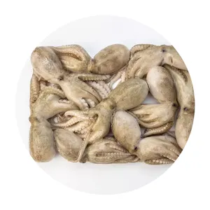 Wholesale Price Food Grade Frozen Octopus Seafood New Season Export Giant Frozen Whole Octopus In Stock frozen small baby octop