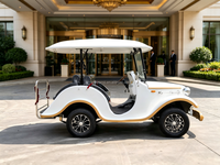 Voiture de tourisme rétro haut de gamme et spacieuse avec recharge rapide pour parcs à thème, personnalisable et luxueuse, en promotion, fluide et performante