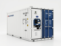 40FT Reefer Container Koelcontainer Snelle Pre-cooling Cargo Unit voor Fruit en Groente Export