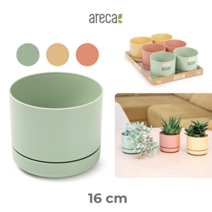 Vaso per Piante Areca 16 Cm Colori Assortiti Durevole Riutilizzabile Decorazione per la Casa - Product Image 1