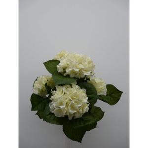 HYDRENSIA BUSH X5 40CM CR - Product Image 1