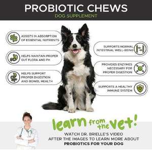 Etiqueta privada OEM para perros de todas las edades, mordeduras probióticas, masticables, enzimas digestivas, prebióticos, probióticos, masticables para la salud intestinal - Product Image 2