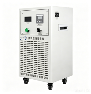 Générateur d'ozone de qualité professionnelle, purificateur d'air à ozone, générateur d'ozone économique - Product Image 1