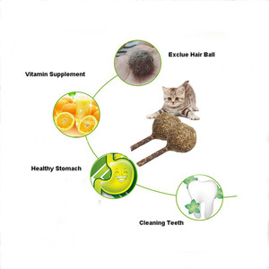 Natura divertente giocattoli da masticare palla erba gatta rotolante denti puliti asta di legno scorpione lecca-lecca gatto giocattolo gatto menta - Product Image 5