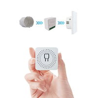 Mini Interrupteur Intelligent WiFi 16A DIY Pour Lumières Contrôle Sans Fil Maison Connectée Avec Tuya Smart Life Alexa Google Home