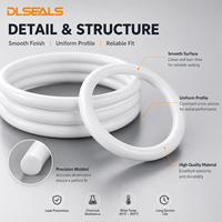Joint torique en silicone PTFE à faible émission de gaz pour chambre à vide, outils de process semi-conducteurs, étanchéité statique propre, taille personnalisée OEM