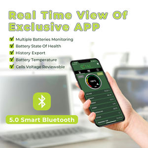 蓝牙应用程序监控和主动平衡电池 12V 100Ah 24组 LiFePO4 电池，带 BMS IP67，适用于房车、船用拖钓马达 - Product Image 2